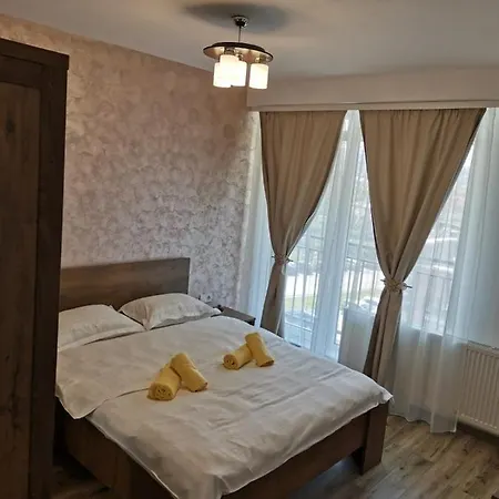Ana Cluj-Napoca