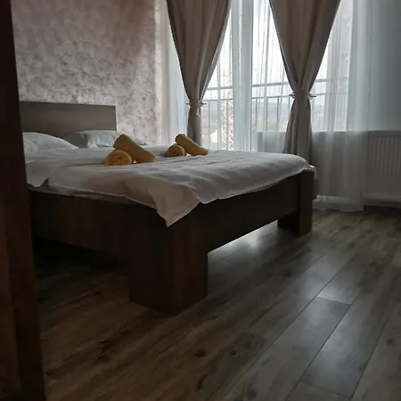 Ana Cluj-Napoca